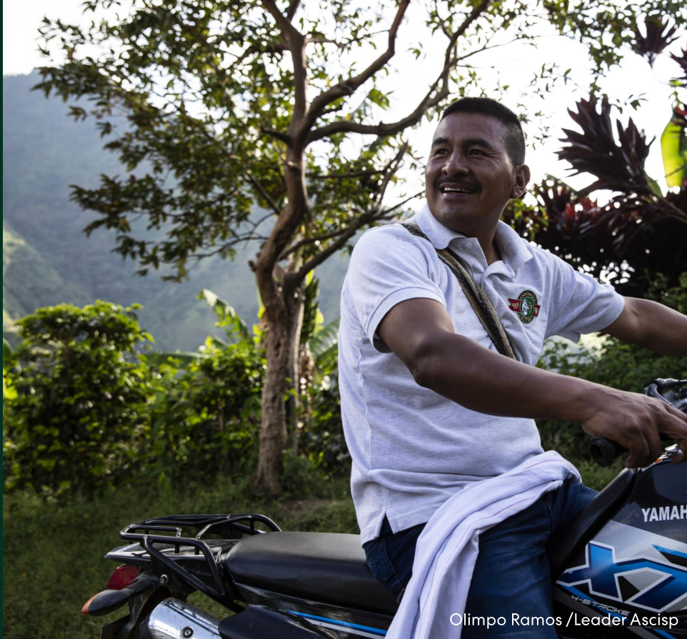 Colombia Yuppie Natural