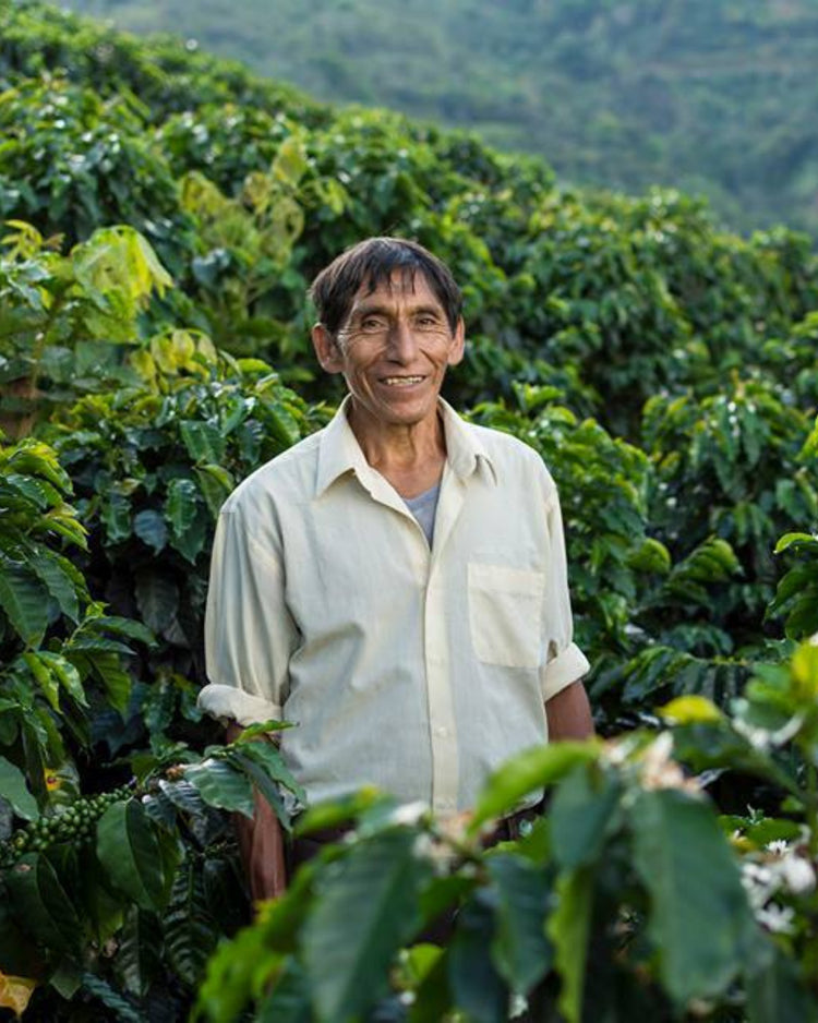 Peru Organic El Palto Washed